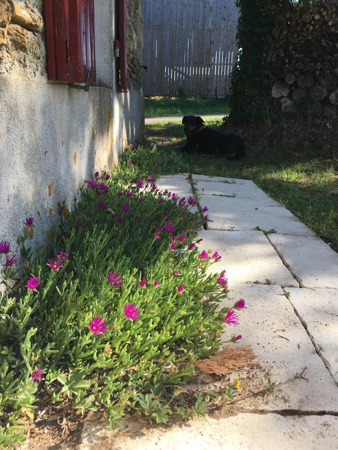 Gite Le Puy Rabasteau Chantonnay Εξωτερικό φωτογραφία